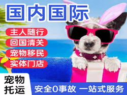 杭州机场物流国际宠物托运 【国
